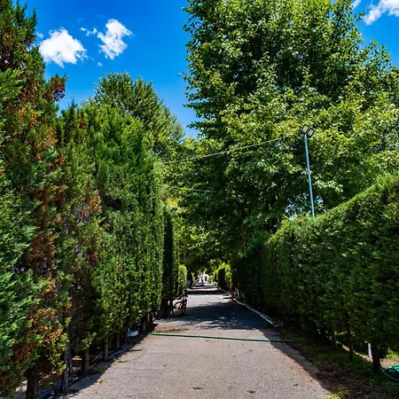 Tsamadanis & Friends Family 2* Karavómilos