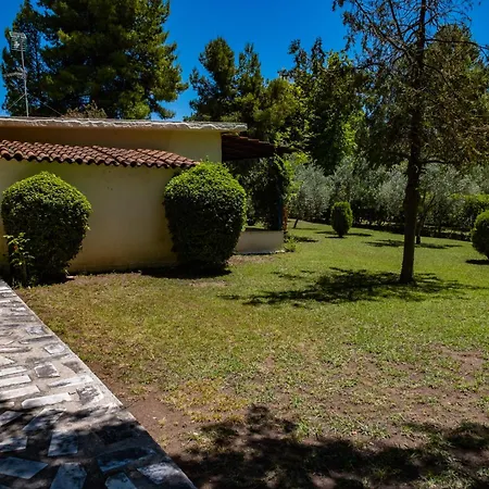 Tsamadanis & Friends Family 2*