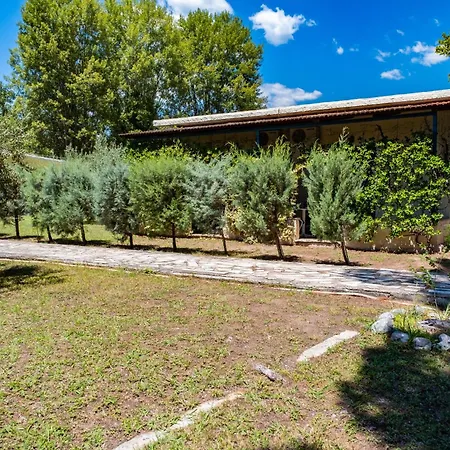 Tsamadanis & Friends Family 2*