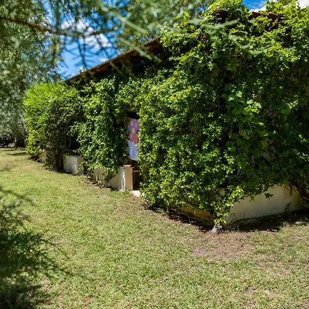 Tsamadanis & Friends Family Hotel 2*