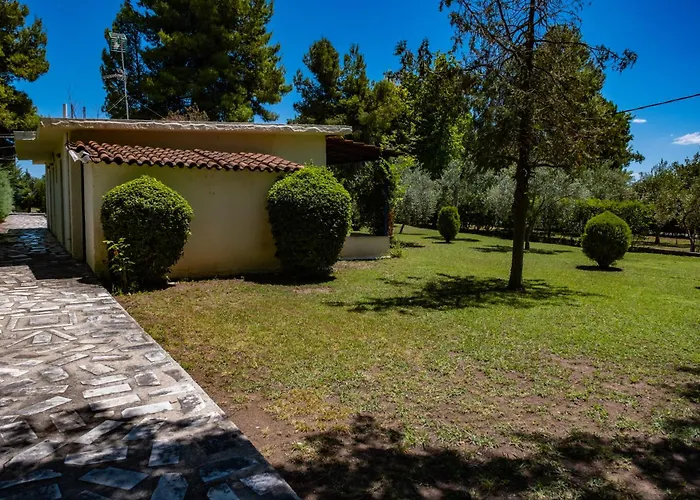 Tsamadanis & Friends Family 2*