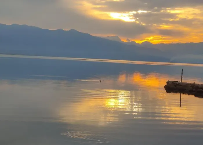 Tsamadanis & Friends Family